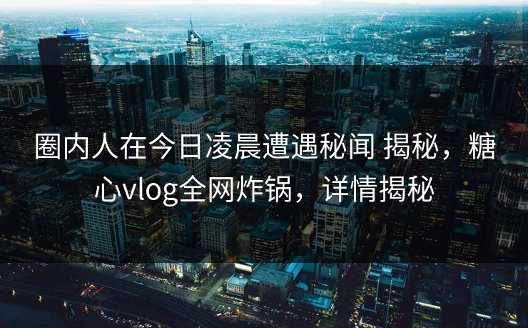 圈内人在今日凌晨遭遇秘闻 揭秘，糖心vlog全网炸锅，详情揭秘