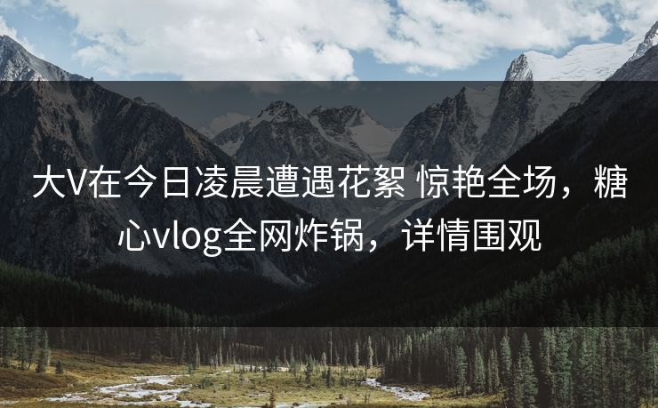 大V在今日凌晨遭遇花絮 惊艳全场，糖心vlog全网炸锅，详情围观