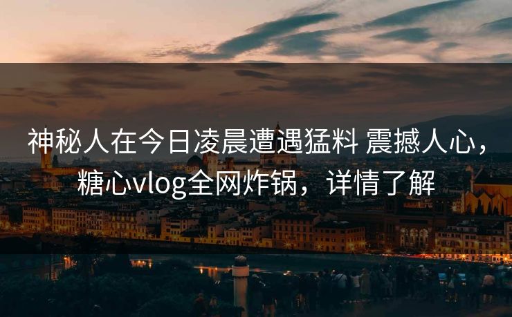 神秘人在今日凌晨遭遇猛料 震撼人心，糖心vlog全网炸锅，详情了解