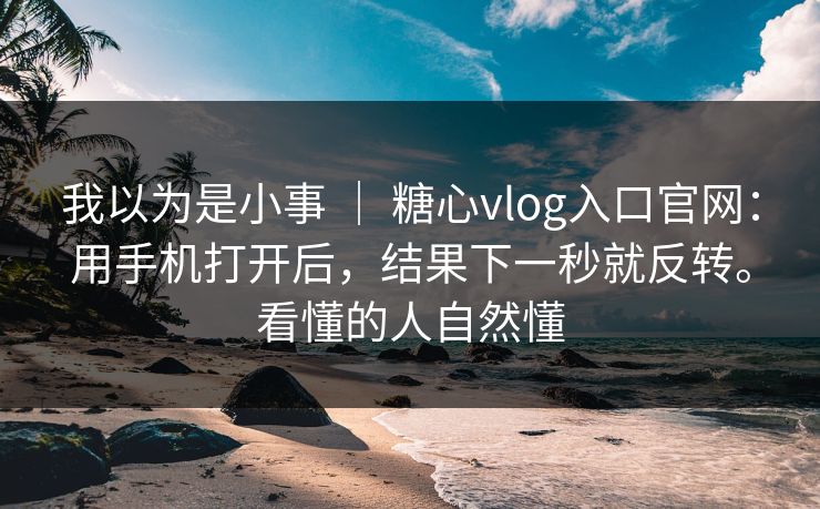 我以为是小事 | 糖心vlog入口官网:用手机打开后,结果下一秒就反转。看懂的人自然懂